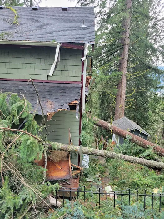 Elm Construction and Restoration Picture 9