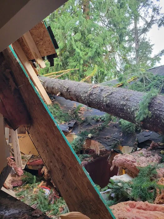 Elm Construction and Restoration Picture 8