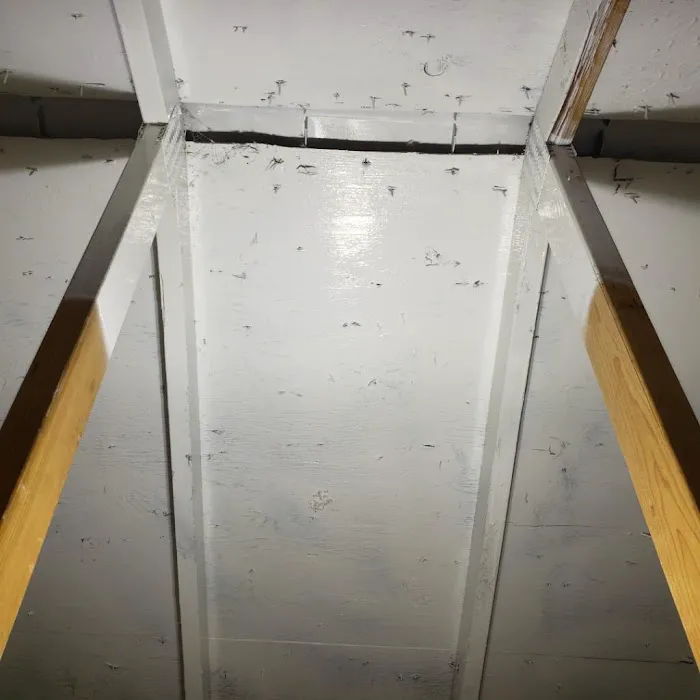 Bellingham Mold Removal, Remediation & Inspection Picture 9