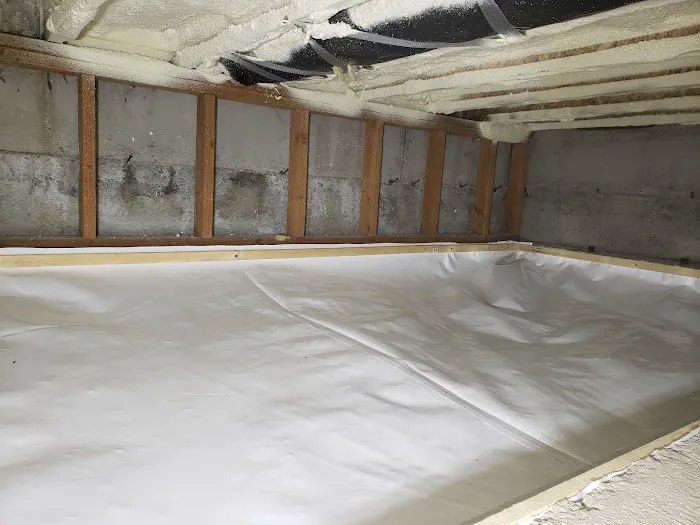 Bellingham Mold Removal, Remediation & Inspection Picture 8