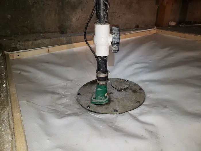 Bellingham Mold Removal, Remediation & Inspection Picture 6