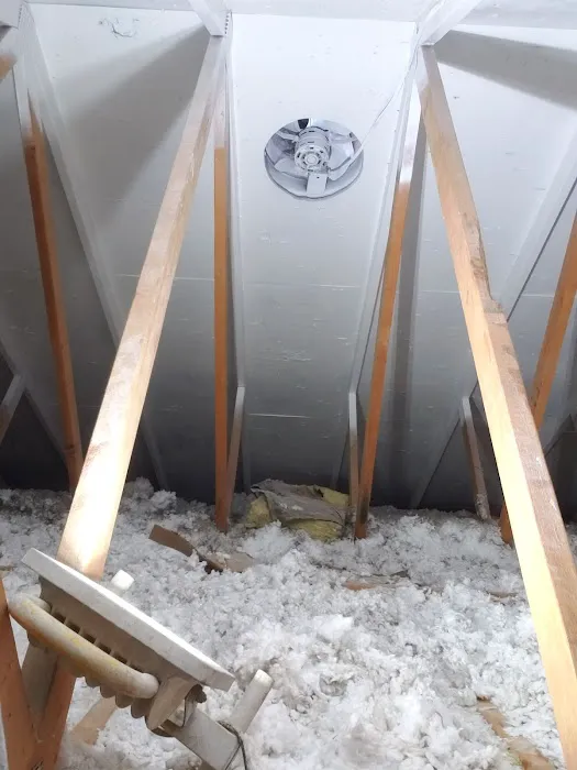 Bellingham Mold Removal, Remediation & Inspection Picture 1