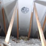 Bellingham Mold Removal, Remediation & Inspection