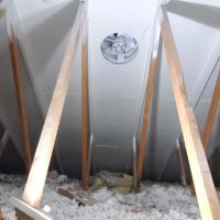 Bellingham Mold Removal, Remediation & Inspection ico