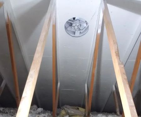 Bellingham Mold Removal, Remediation & Inspection