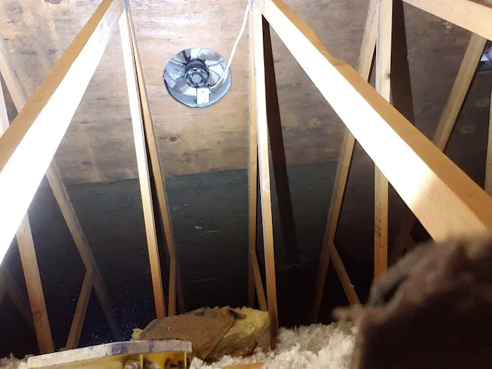 Bellingham Mold Removal, Remediation & Inspection Picture 7