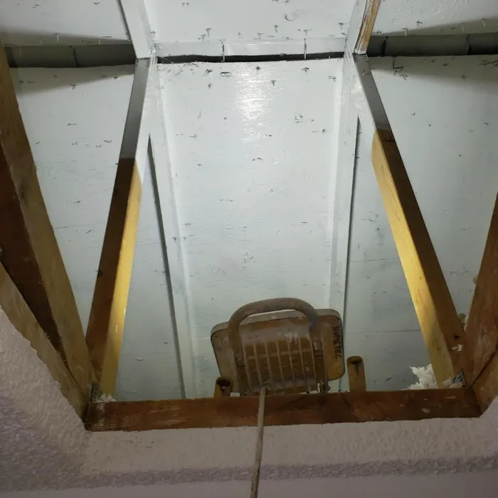 Bellingham Mold Removal, Remediation & Inspection Picture 2