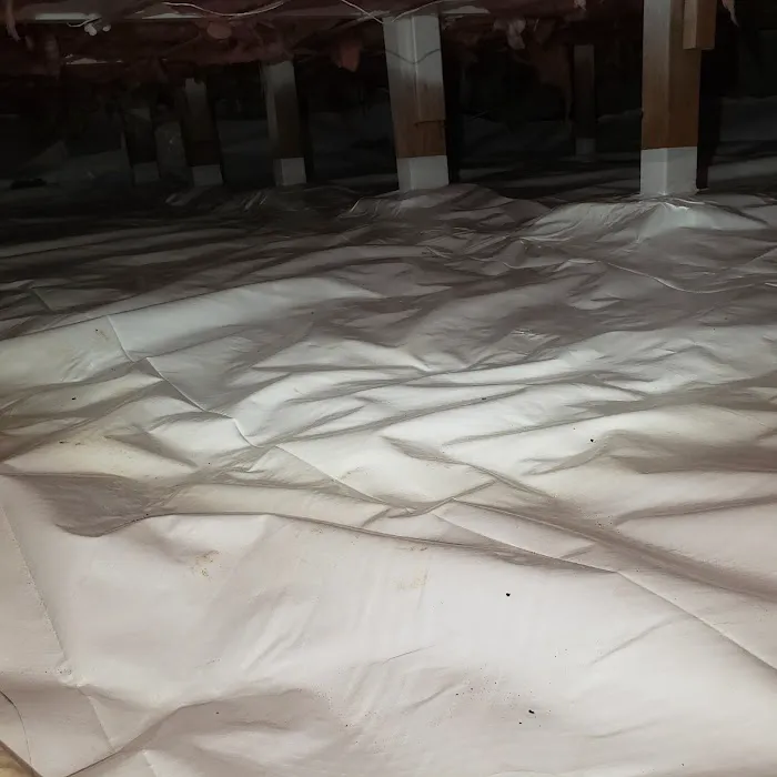 Bellingham Mold Removal, Remediation & Inspection Picture 4