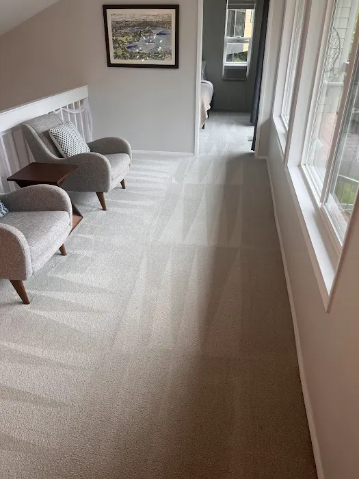 Professional Carpet Cleaners Picture 1