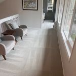 Professional Carpet Cleaners