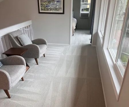 Professional Carpet Cleaners