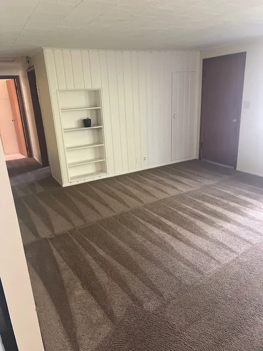 Professional Carpet Cleaners Picture 2