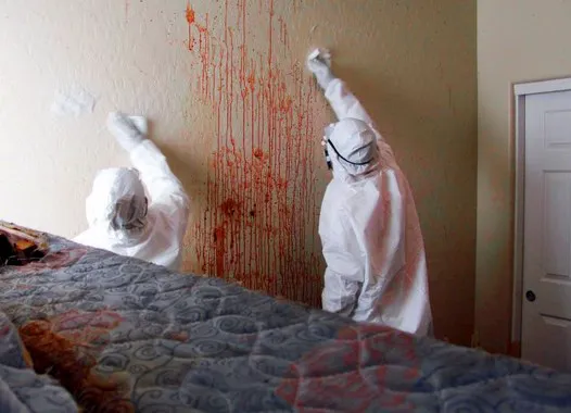 PNW Restoration Picture 3