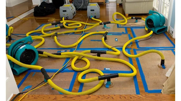 PNW Restoration Picture 2