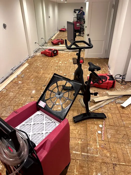 Superb Restoration Picture 2