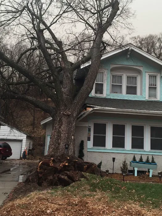 Total Construction Services Picture 4