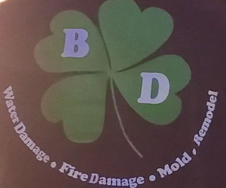 Bailey Demolition, Llc