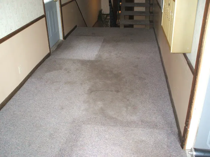 AAA Carpet Cleaning Omaha and Water Damage Restoration Picture 6