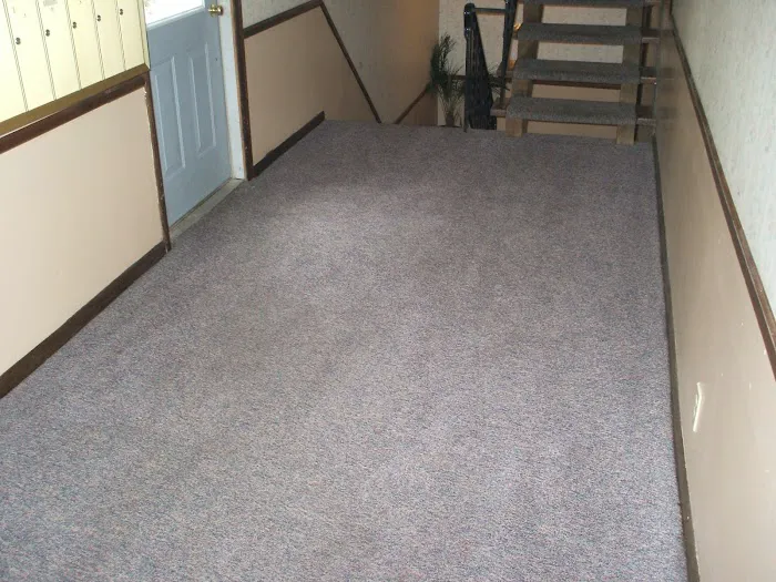 AAA Carpet Cleaning Omaha and Water Damage Restoration Picture 8