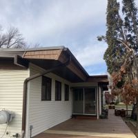 Dynasty Restoration ico