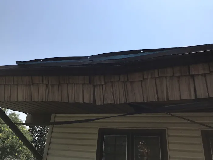 Dynasty Restoration Picture 4