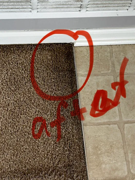 Stanley Steemer Picture 10