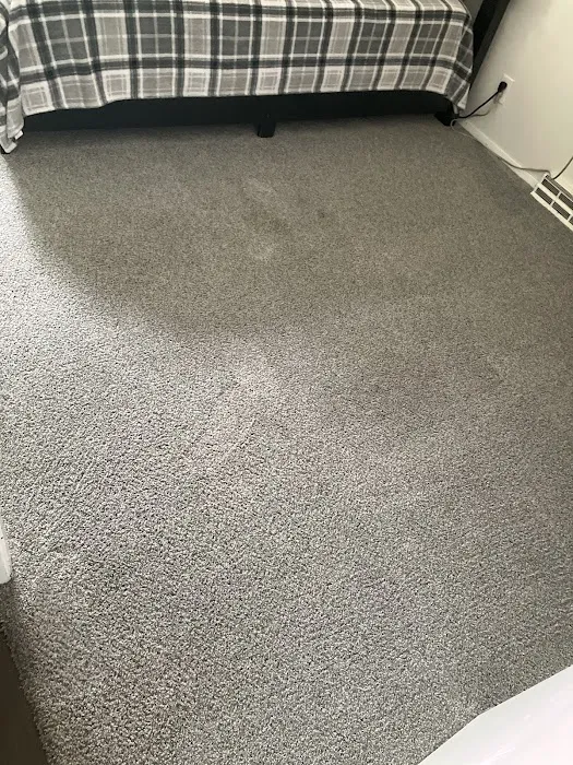 Stanley Steemer Picture 2