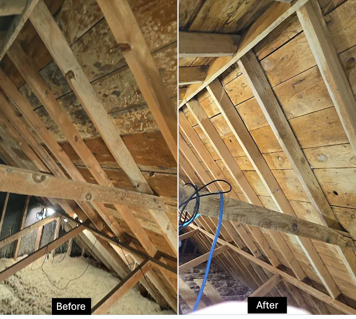 True North Restoration of Omaha South Picture 4