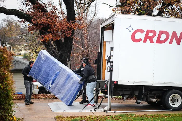 CRDN - Full Content Restoration Picture 6