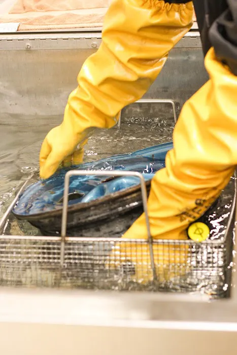 CRDN - Full Content Restoration Picture 7