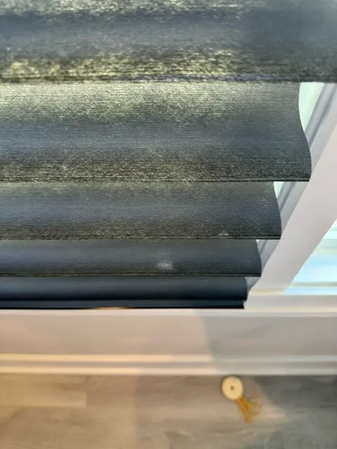 Maxim Cleaning & Restoration Picture 4