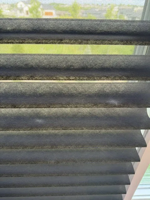 Maxim Cleaning & Restoration Picture 1