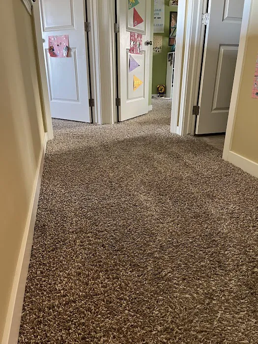 Rug Redeemer / Inspection Ready Carpet Cleaning Picture 3