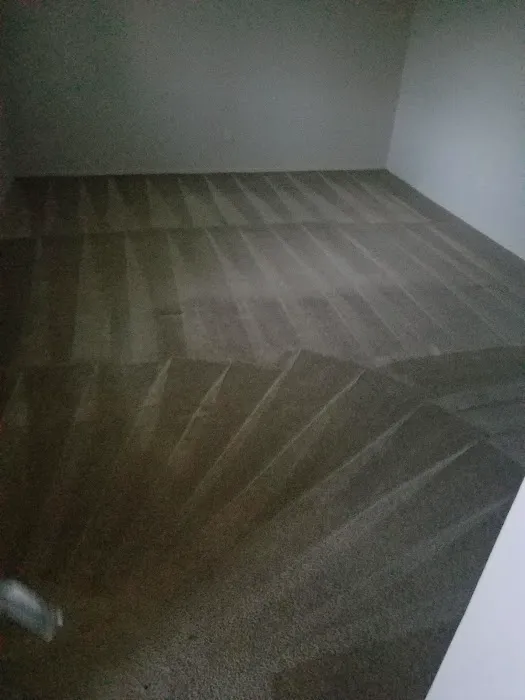 Rug Redeemer / Inspection Ready Carpet Cleaning Picture 7