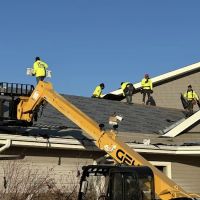 AVID RESTORATION ico