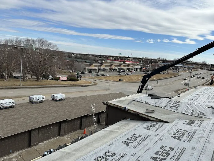 AVID RESTORATION Picture 4