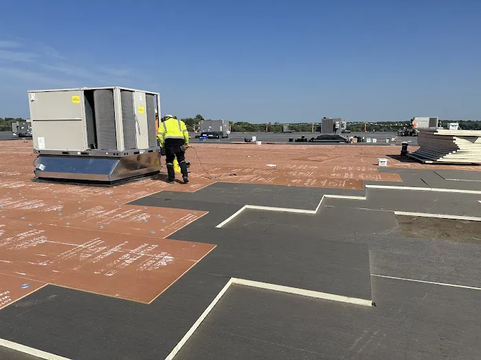 AVID RESTORATION Picture 3