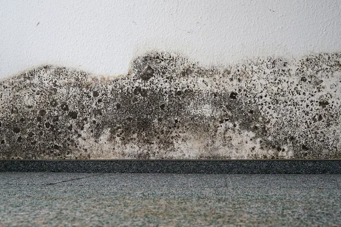 ABC Abatement Picture 1