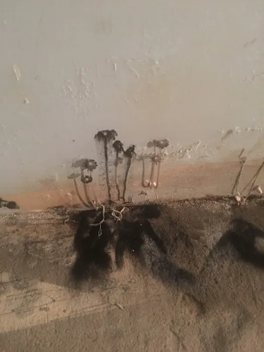 ABC Abatement Picture 2