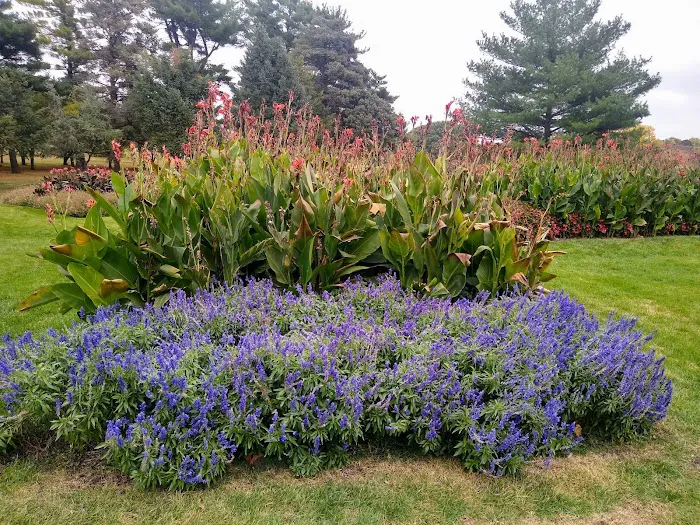 Action Flooring & Carpet Cleaning Picture 5