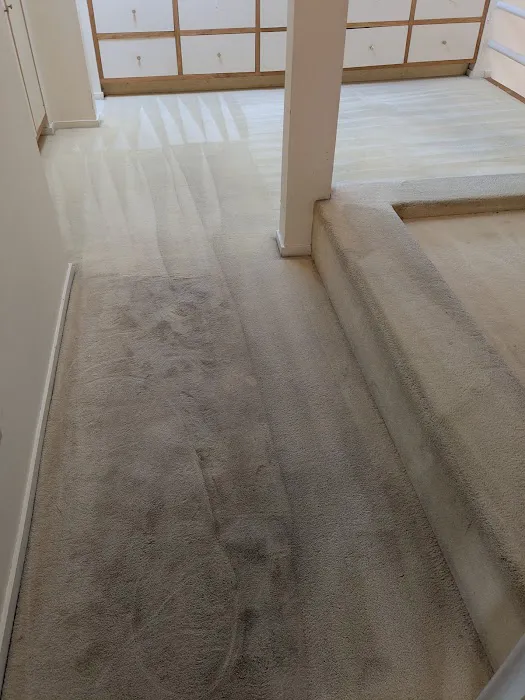 Action Flooring & Carpet Cleaning Picture 4