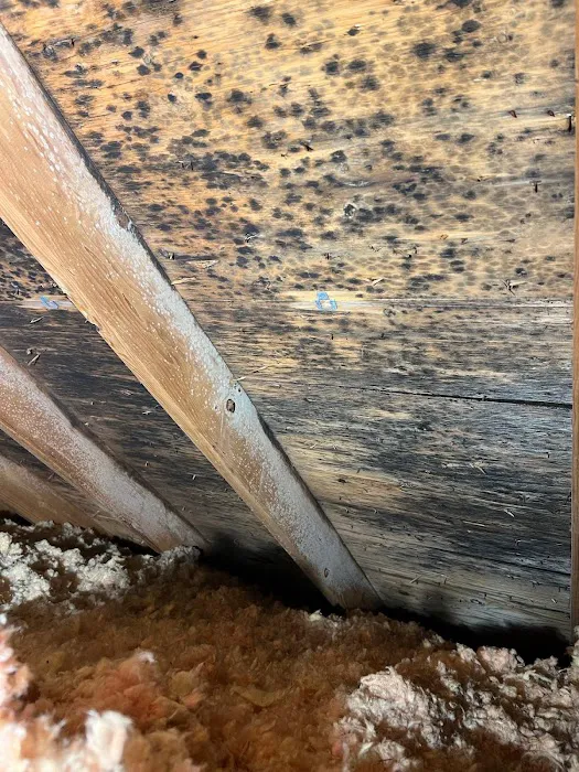 AdvantaClean of Omaha Picture 4