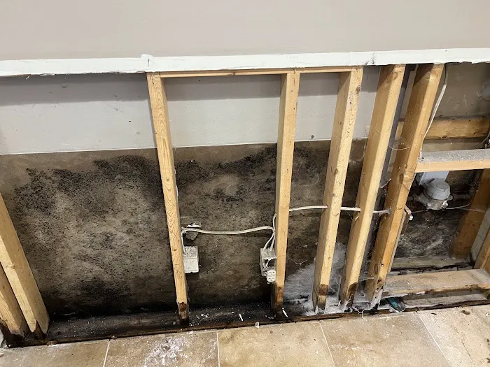 AdvantaClean of Omaha Picture 2