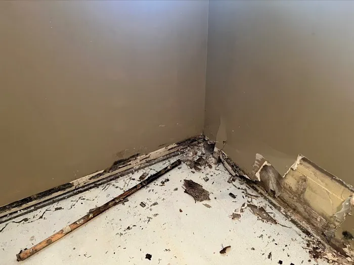 AdvantaClean of Omaha Picture 5