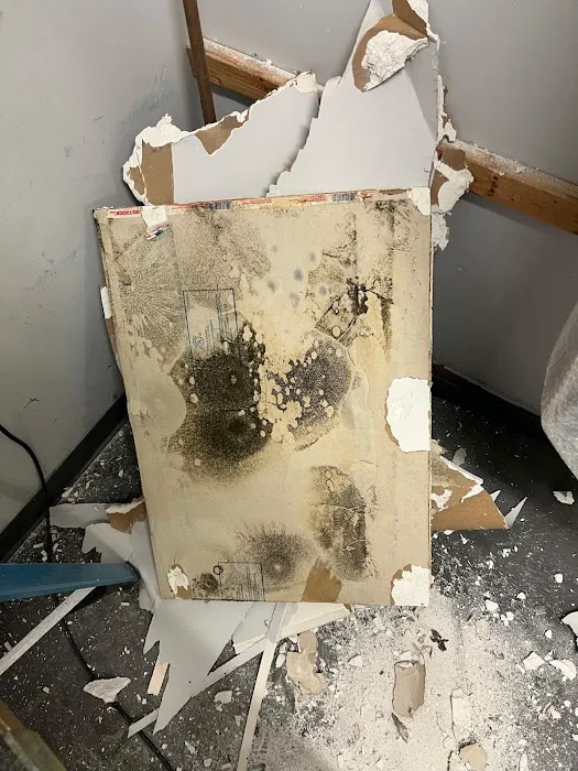 AdvantaClean of Omaha Picture 6