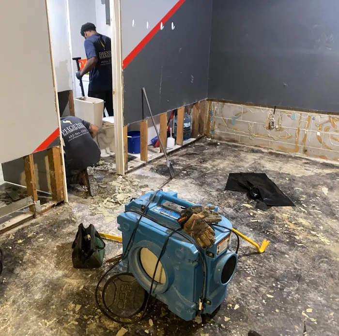 Phoenix Restoration Services Picture 8