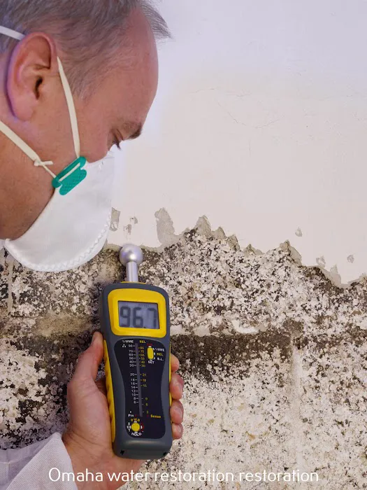 All Dry Services Picture 3