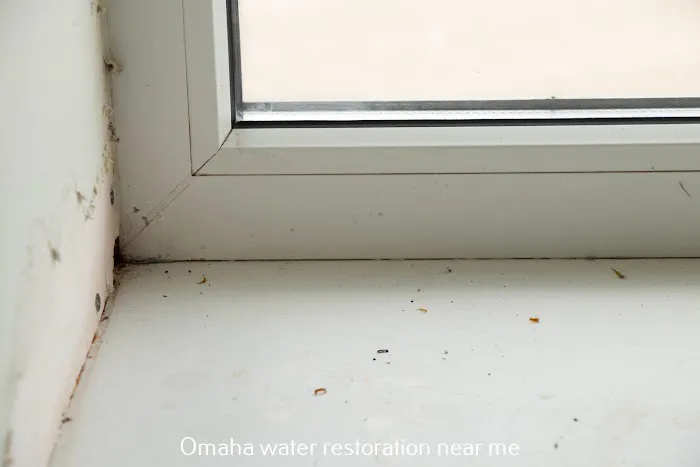 All Dry Services Picture 8