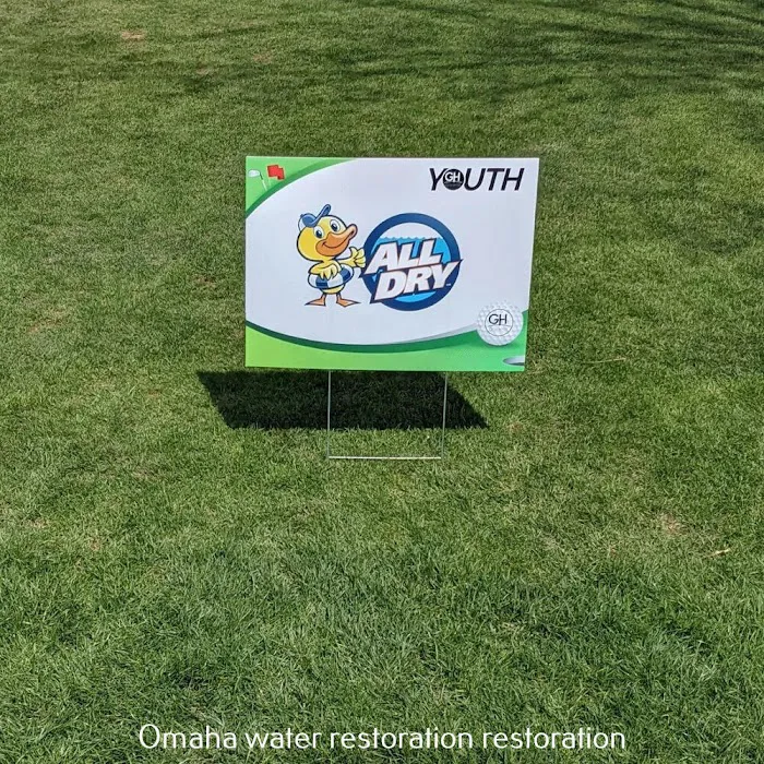 All Dry Services Picture 6