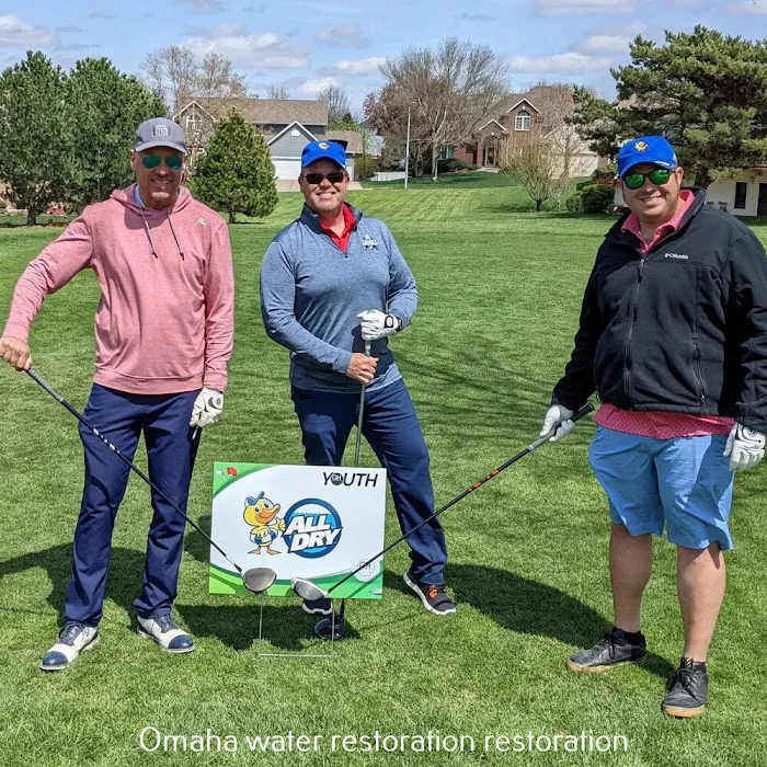 All Dry Services Picture 10